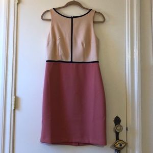 NWOT LOFT Colorblock Dress - Pink and Blush